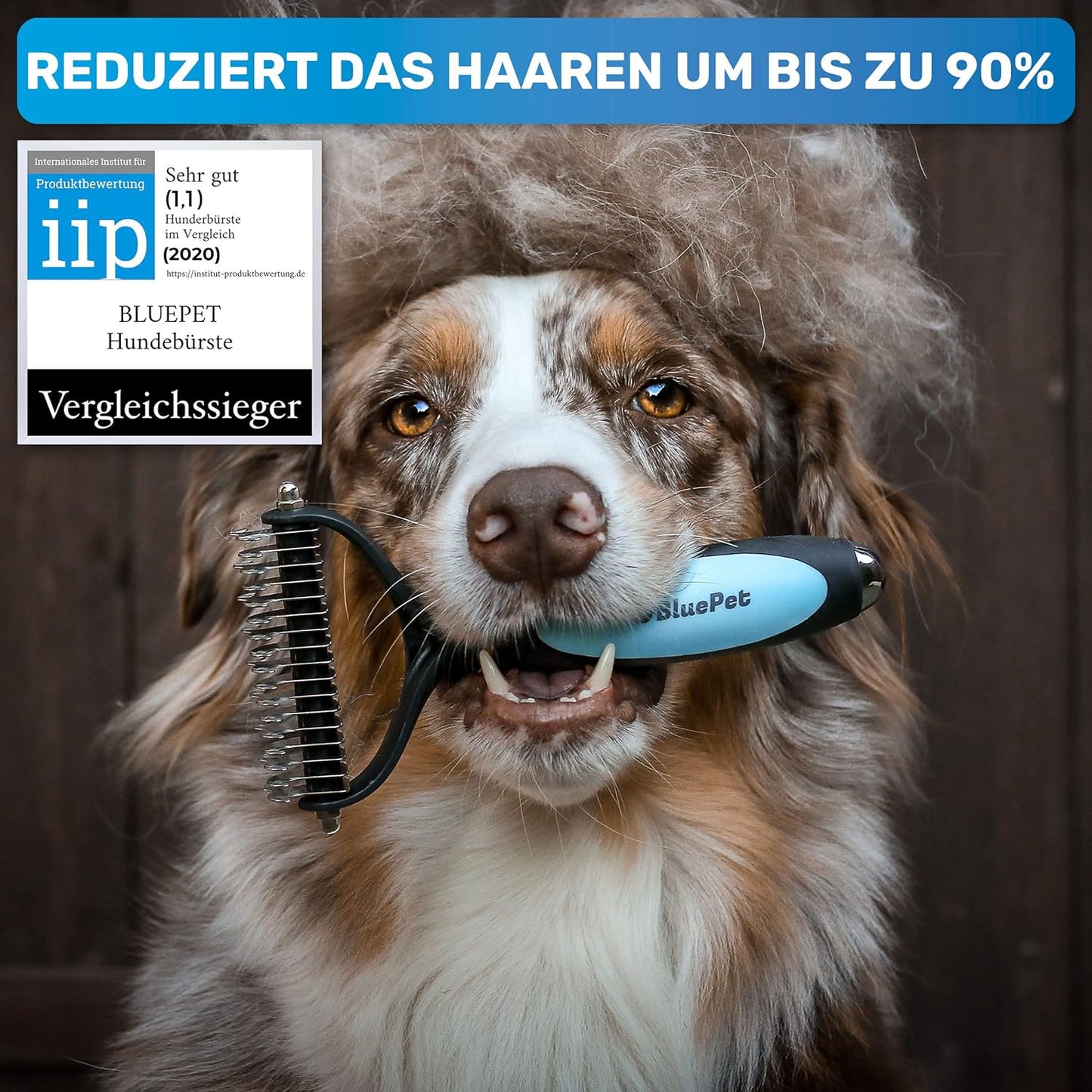 UnterwollToll Hundebürste, BESTSELLER Grösse M-L Blau
