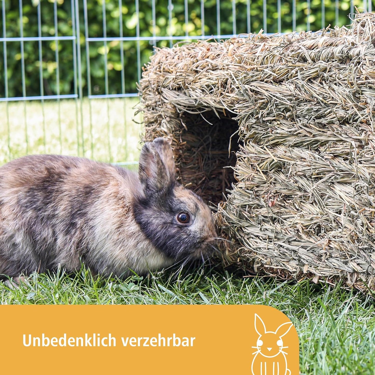 Grashaus, Single