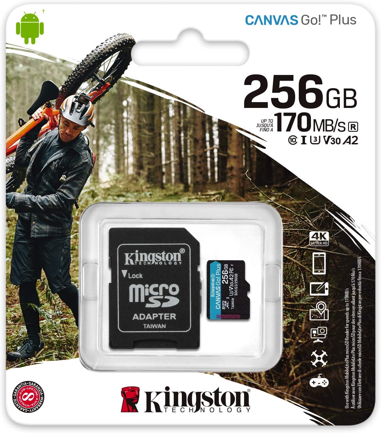Canvas Go! Plus 256 GB microSDXC, Speicherkarte
