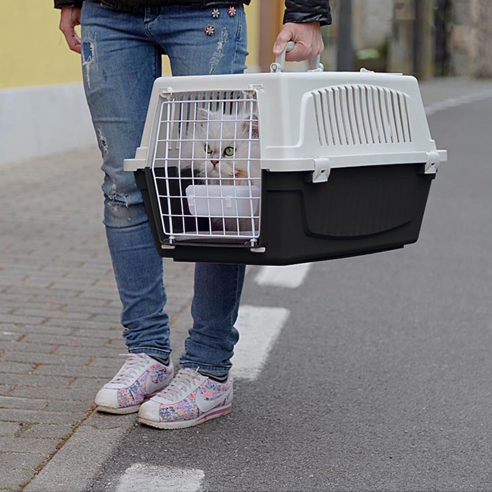 Transportbox Atlas Open, 2 Türe; L 58 x B 37 x H 32 cm; Braun