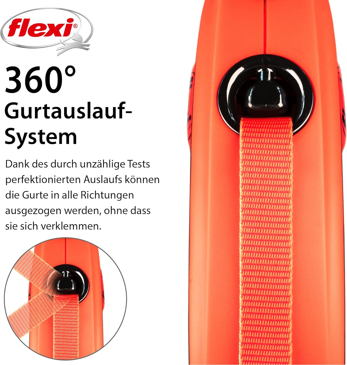 Xtreme Cinta Hundelleine, Rot; M - 5 m