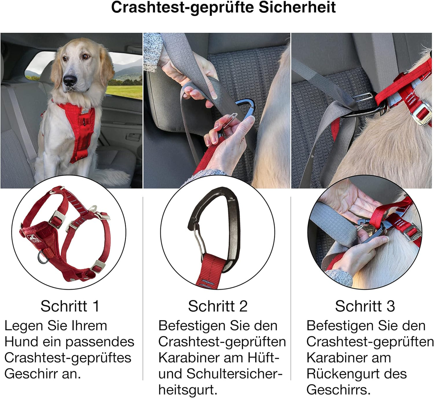 Hundegeschirr, Schwarz L