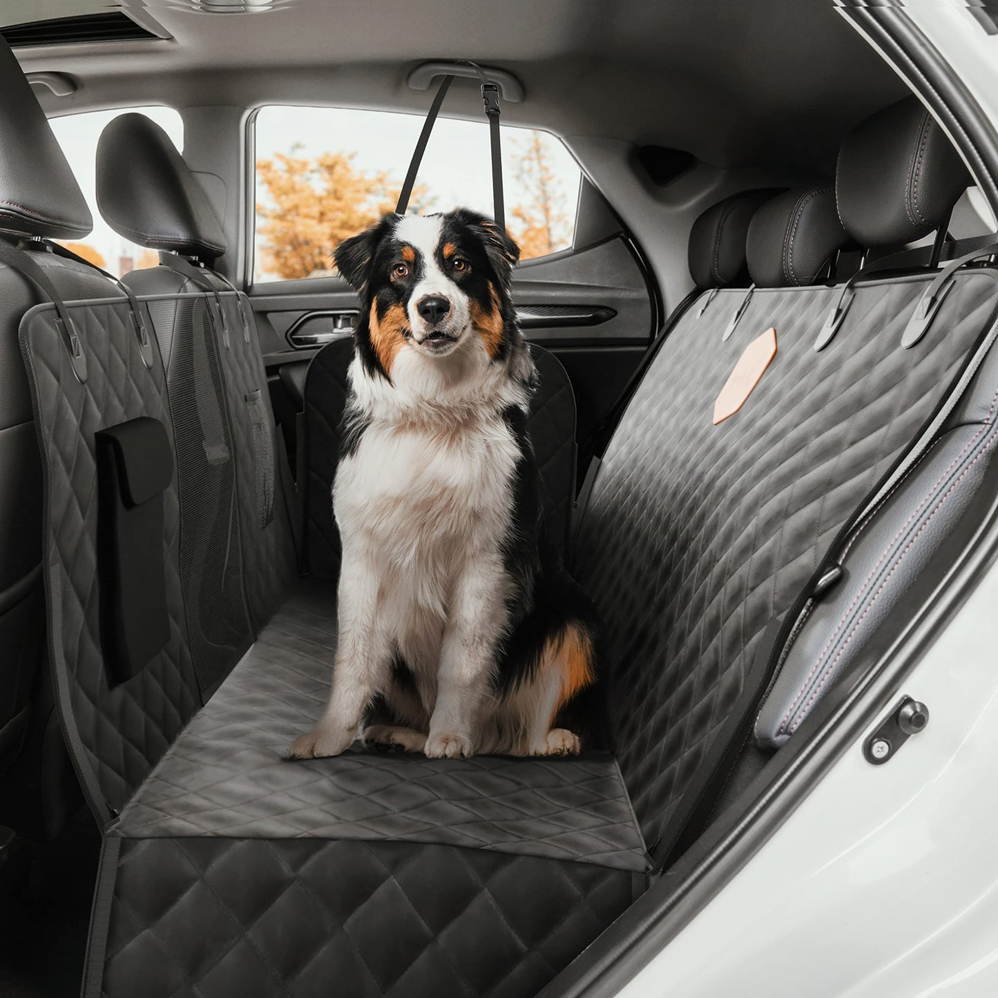 Auto Schondecke
