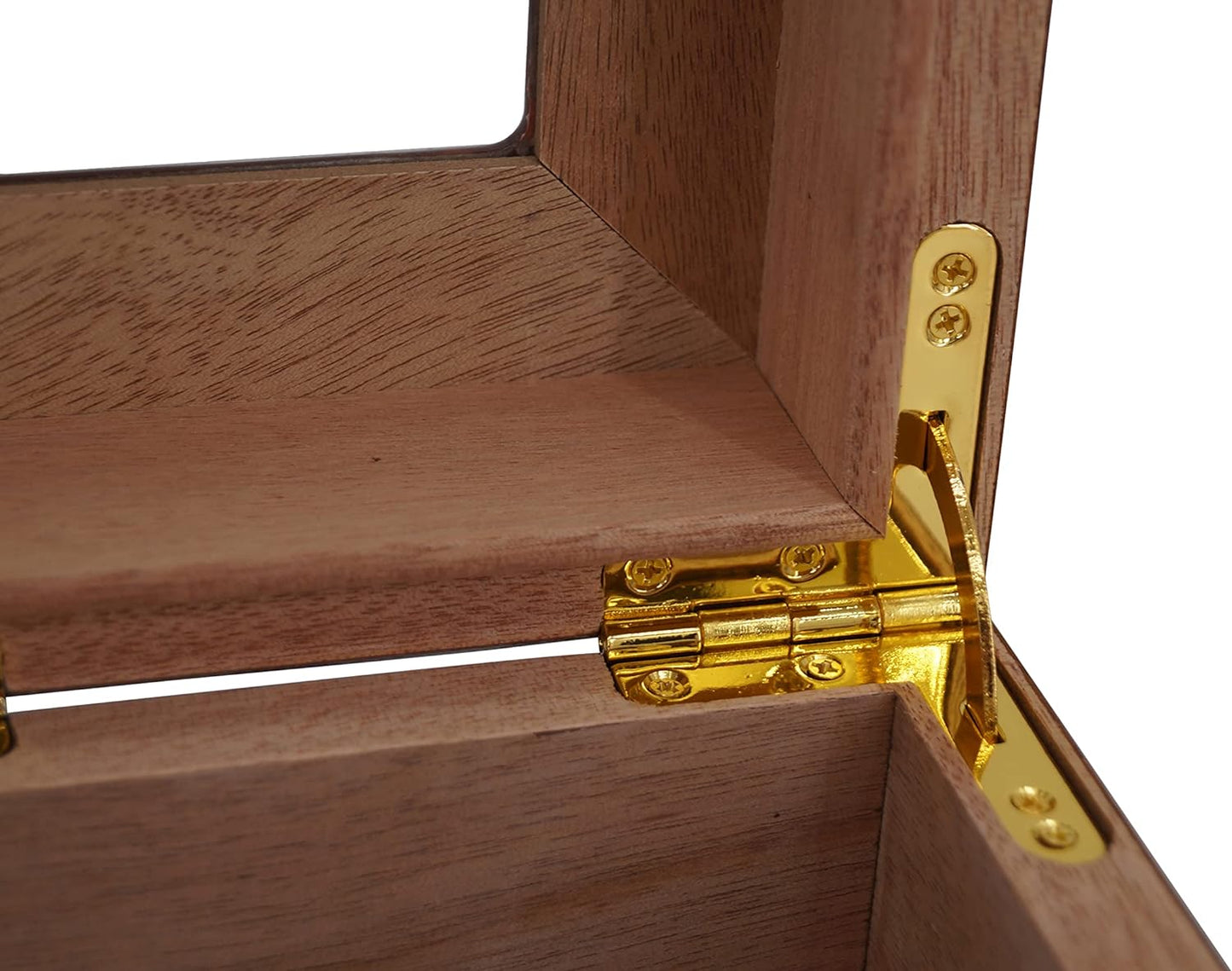 Humidor Truhe MVI