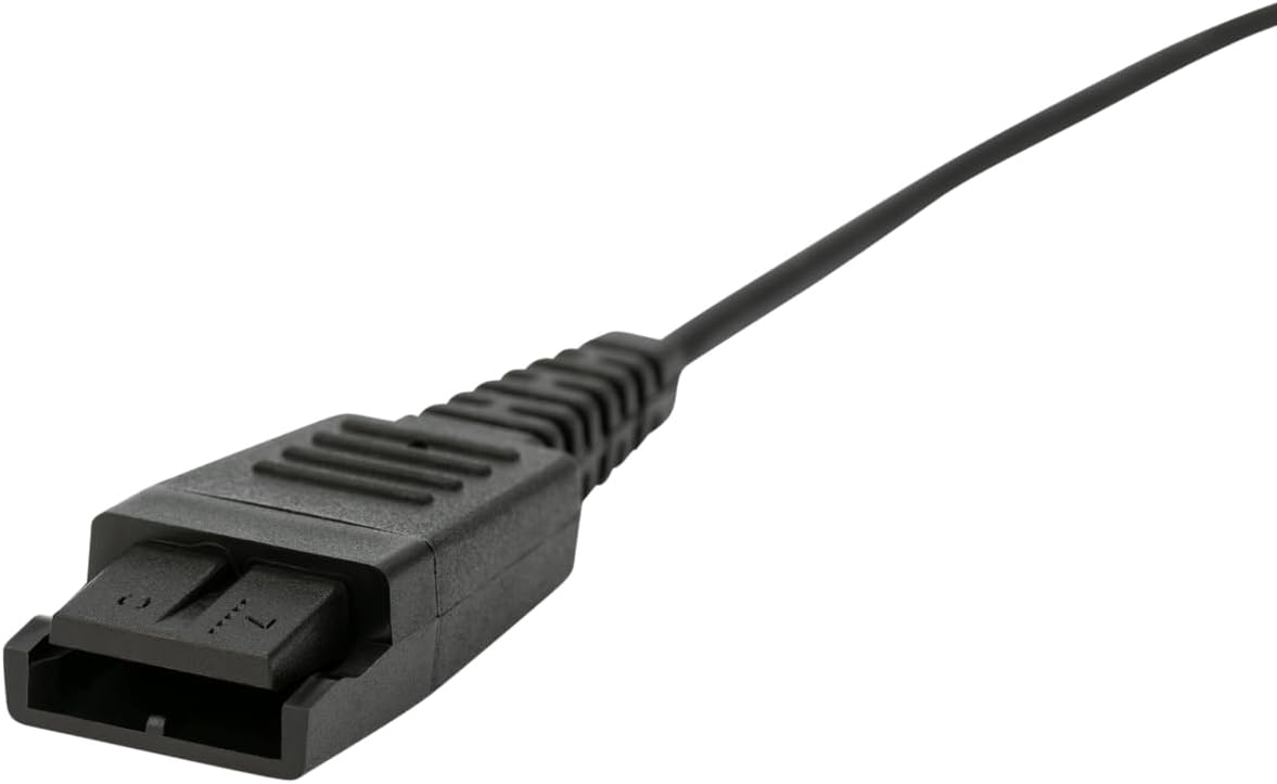 BIZ 2300 Duo, Headset