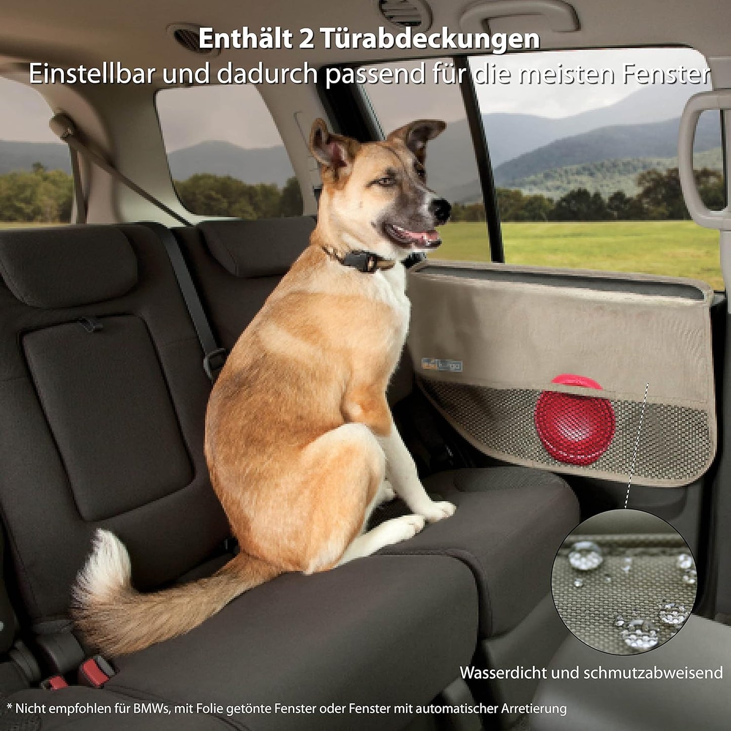 Türschutz, Schwarz