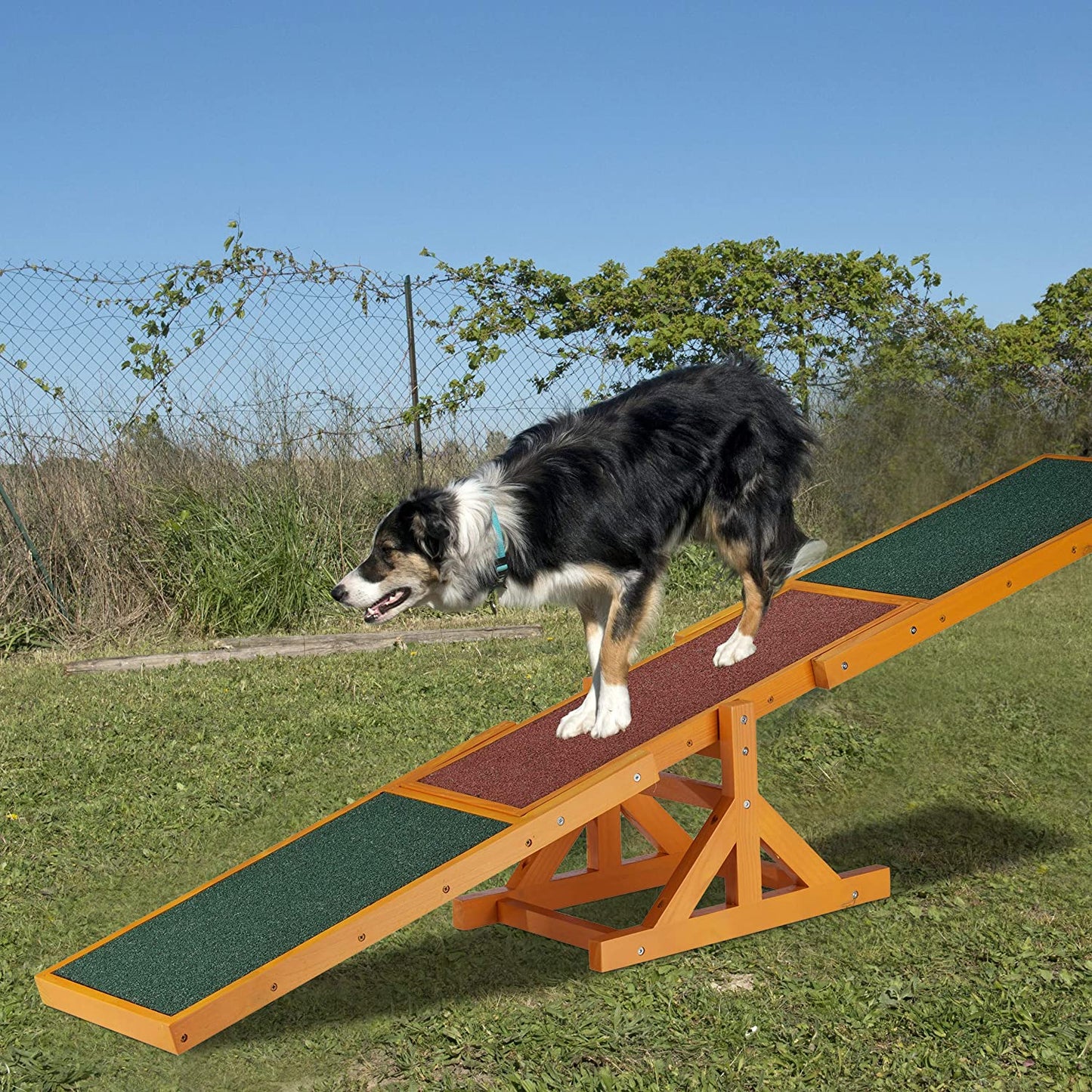 Hundewippe Agility
