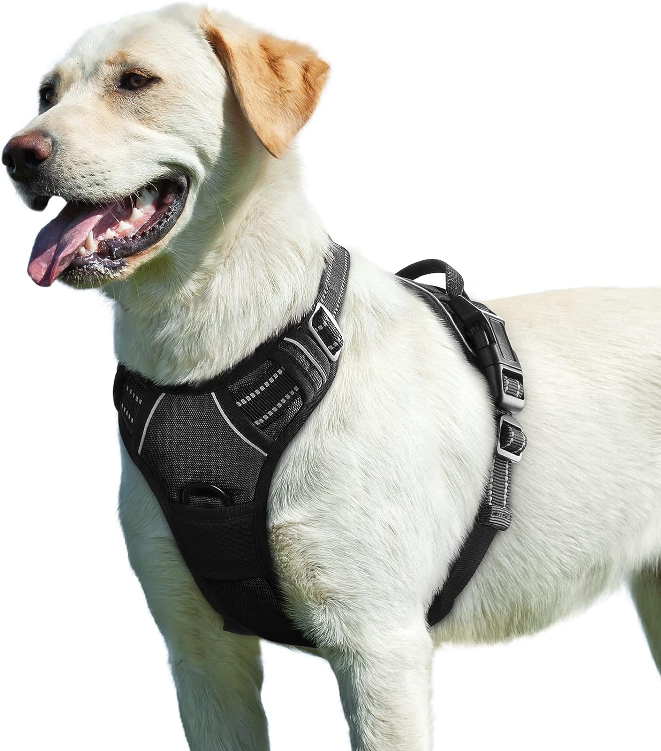Hundegeschirr Grosse Hunde, L (1er Pack) Schwarz