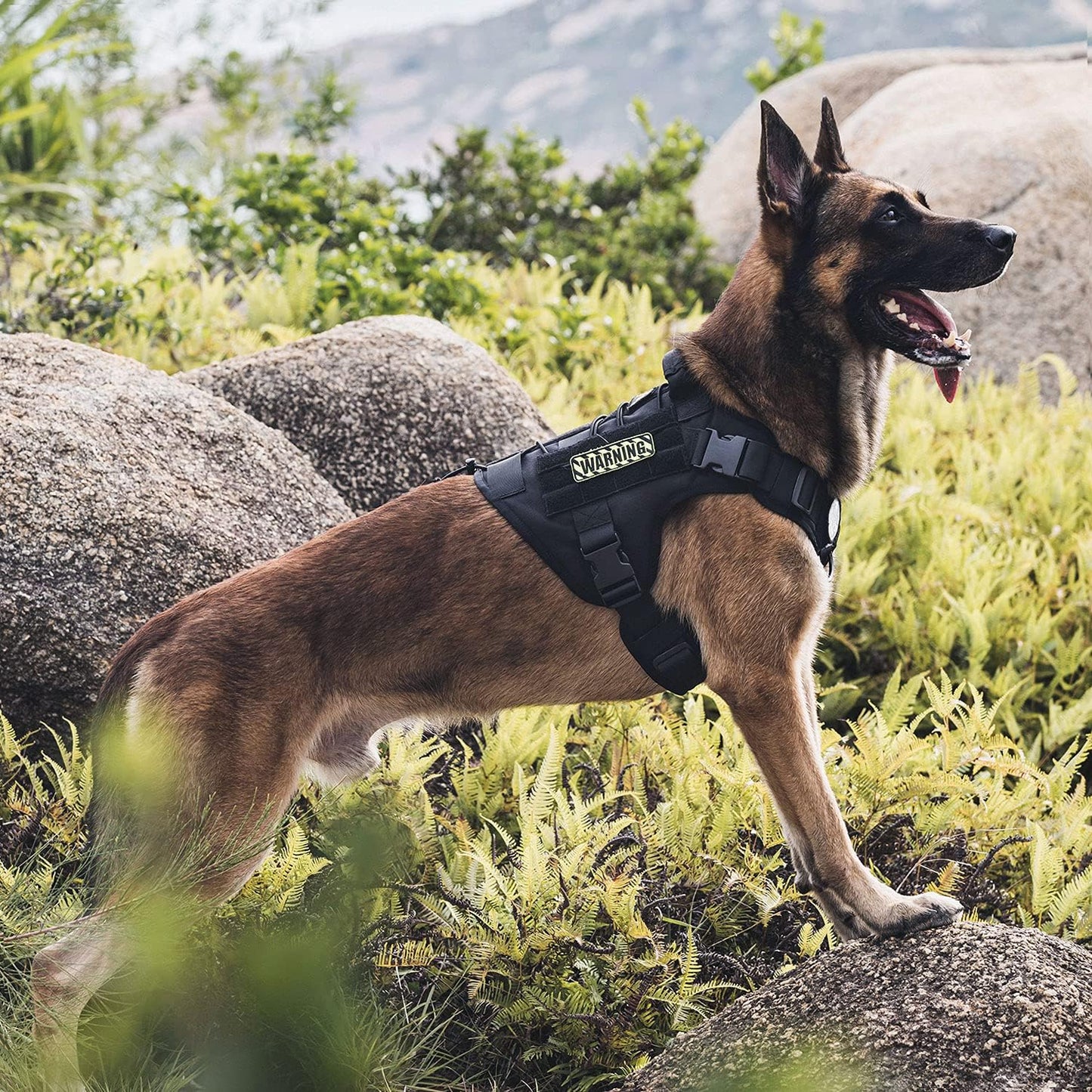 Hundegeschirr FIRE Watcher, M, Schwarz