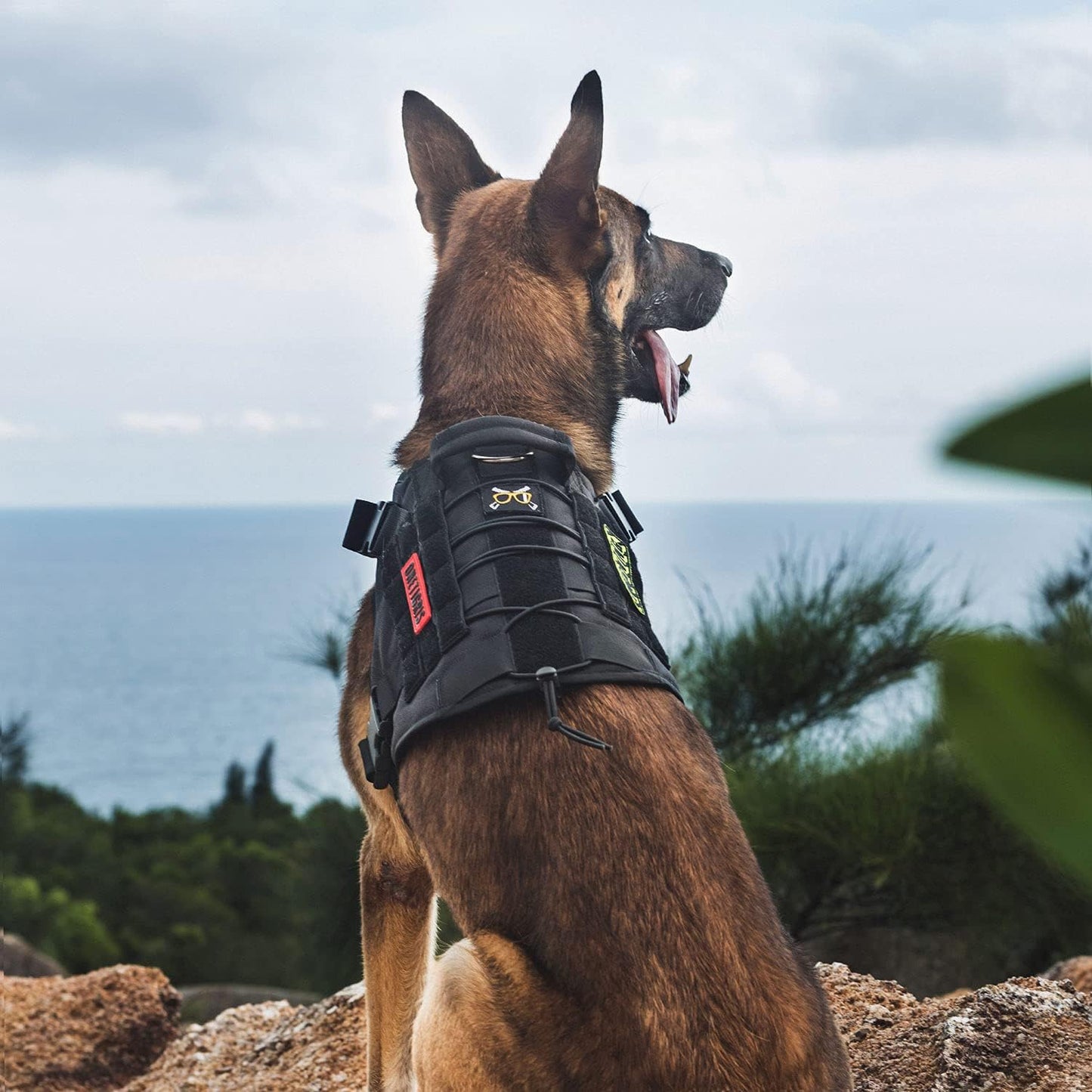 Hundegeschirr FIRE Watcher, M, Schwarz