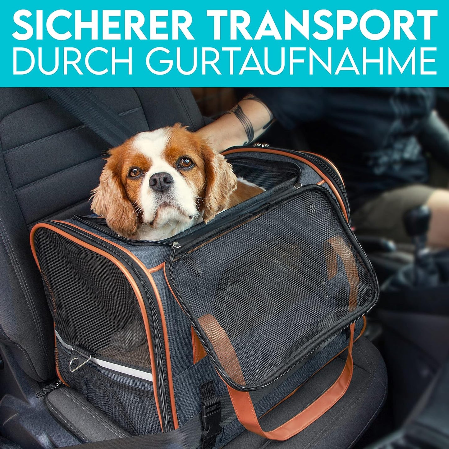 Hundetasche, Grau