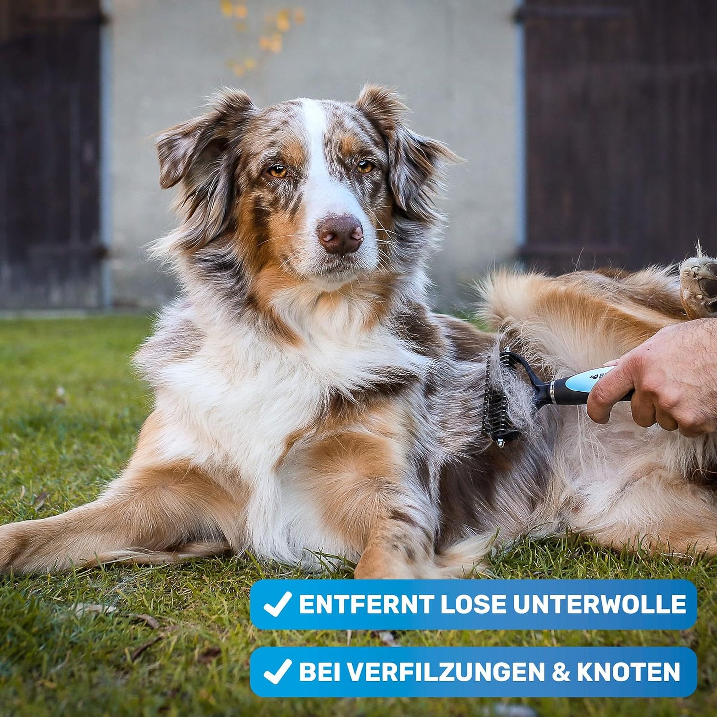 UnterwollToll Hundebürste, BESTSELLER Grösse M-L Blau