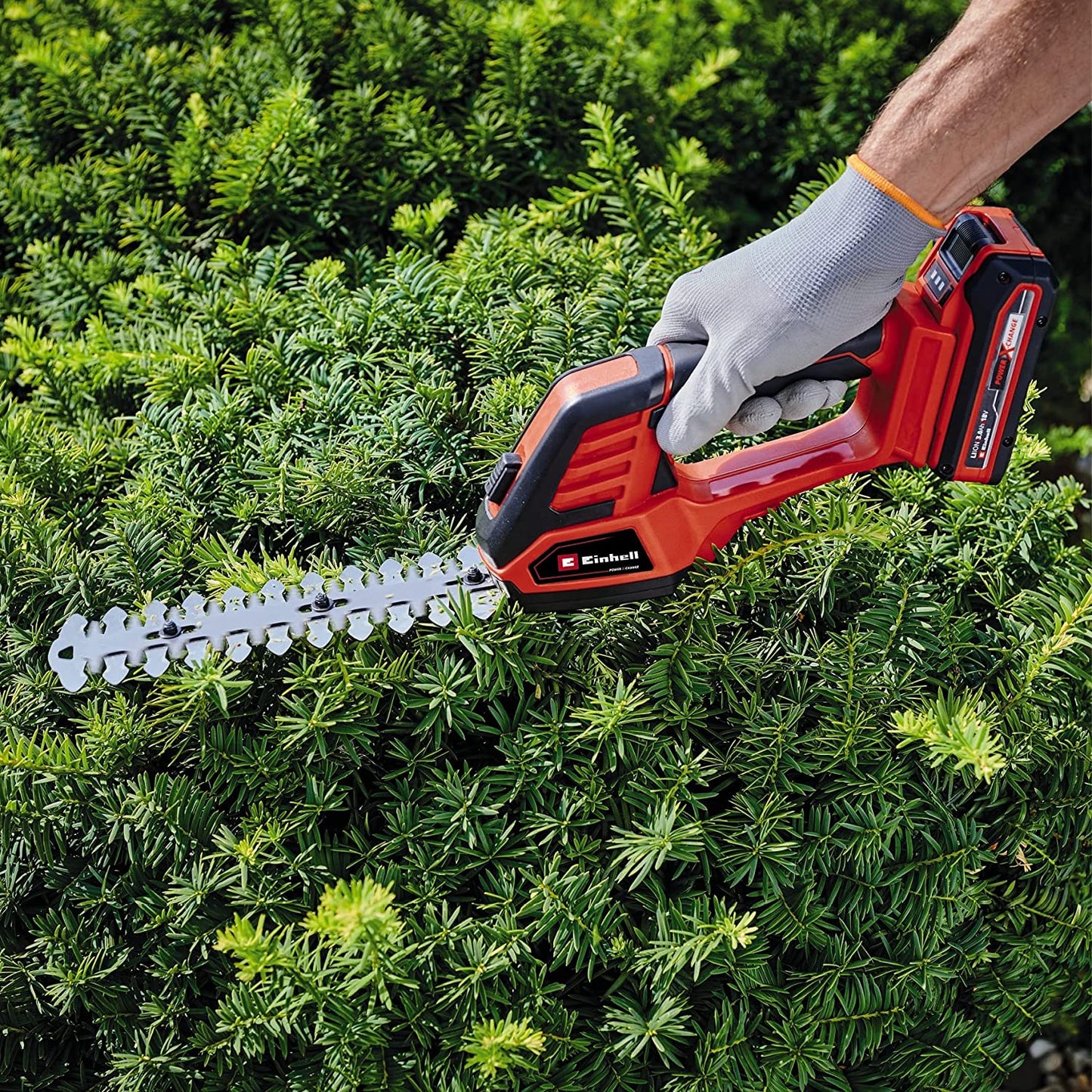 Akku-Grasschere/ -Strauchschere GE-CG 18/100 Li-Solo, 18Volt, inkl. Grasschere & Strauchmesser