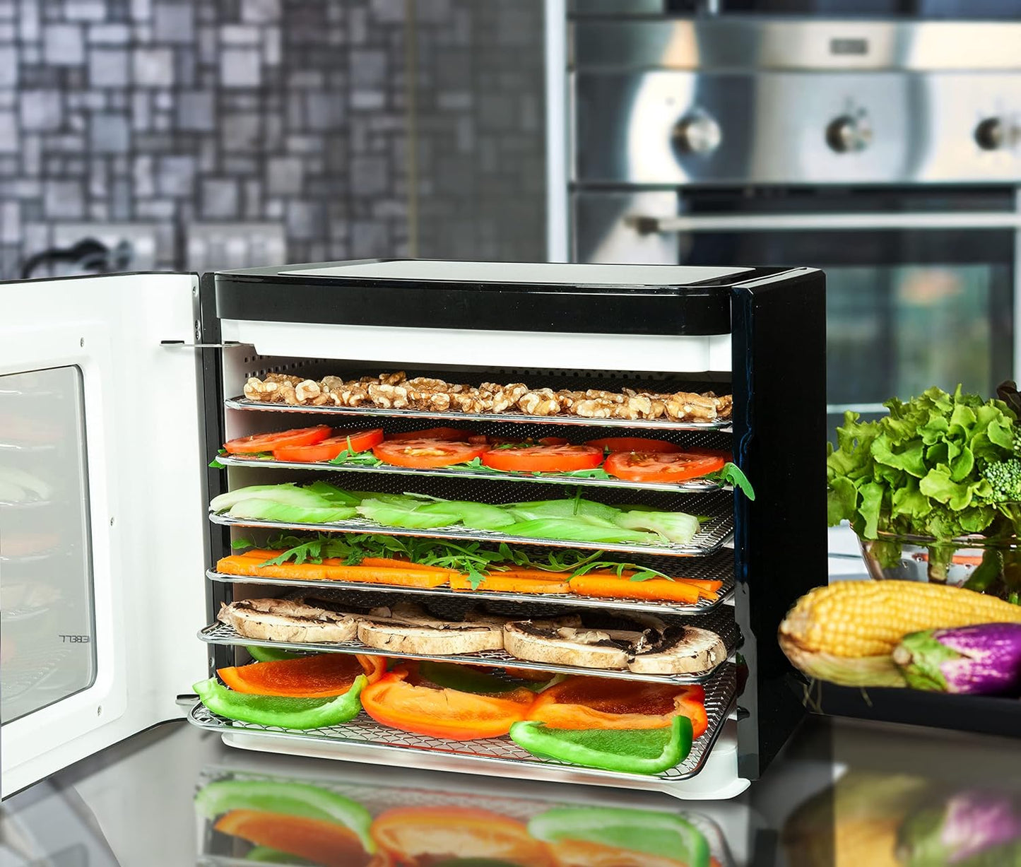 Food Dehydrator