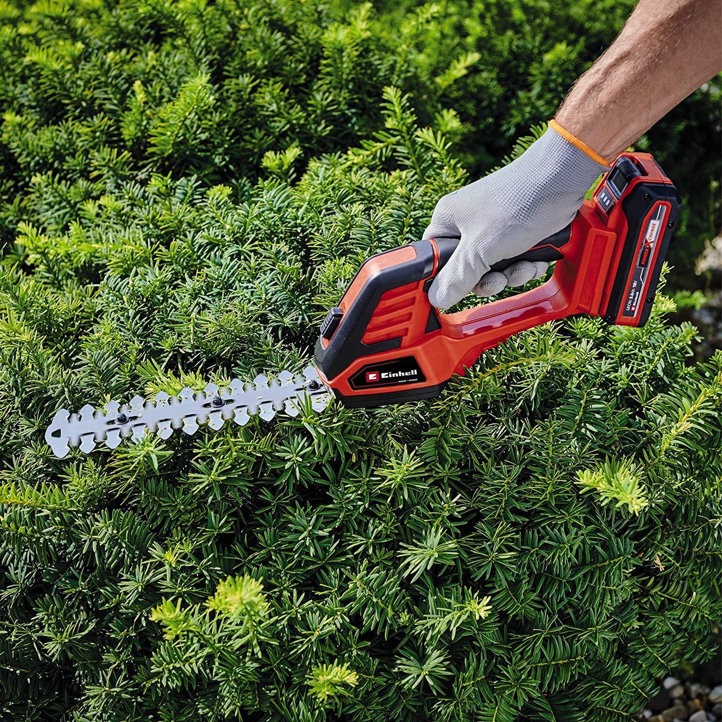 Akku-Grasschere/ -Strauchschere GE-CG 18/100 Li T-Solo, 18Volt, ohne Akku und Ladegerät