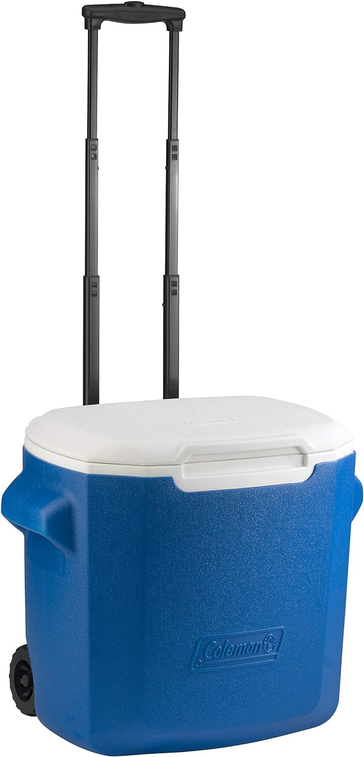 28 QT Excursion