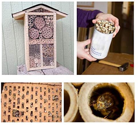 Bambusröhrchen für Insektenhotel, 200 Stück, 10cm