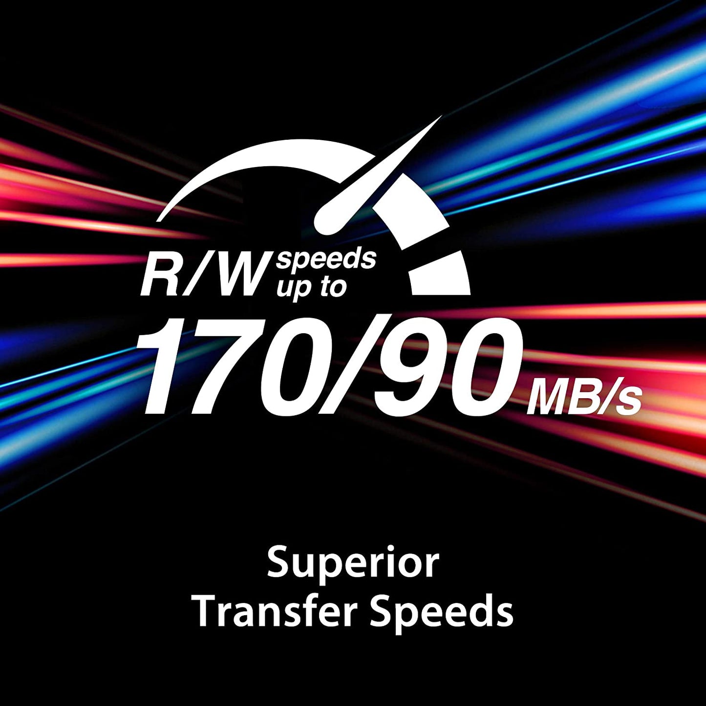 Canvas Go! Plus 256 GB microSDXC, Speicherkarte