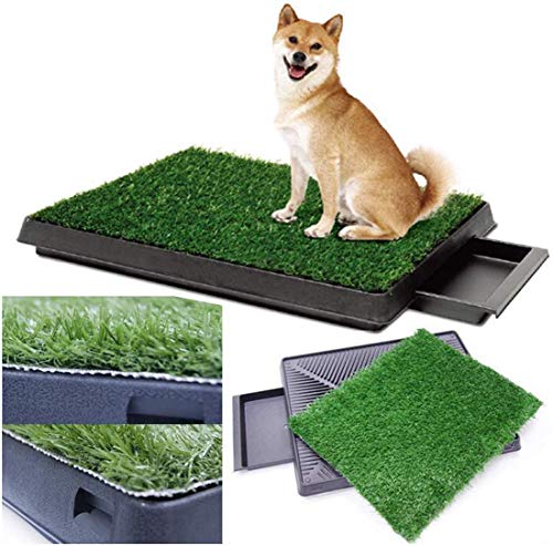 Hundetoilette, 1 Rasen